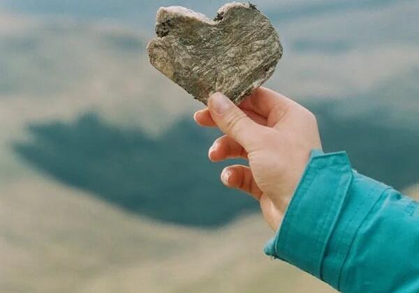 Pexels-photo-2957058