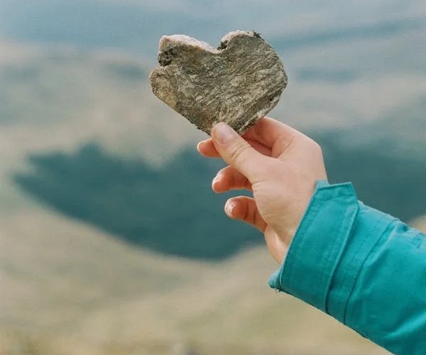 Pexels-photo-2957058