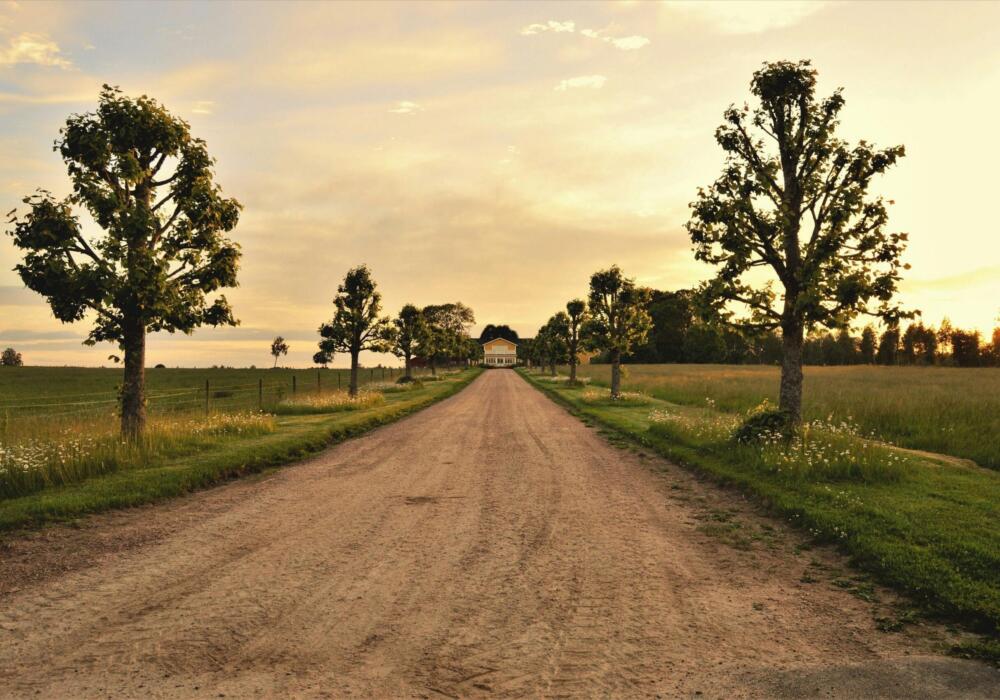 Pexels-pixabay-461755-scaled