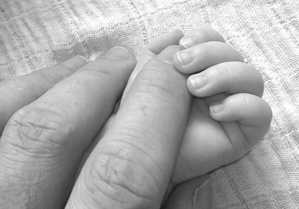 Pexels-pixabay-64236