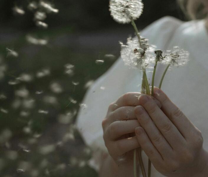 Woman blowing dandelion