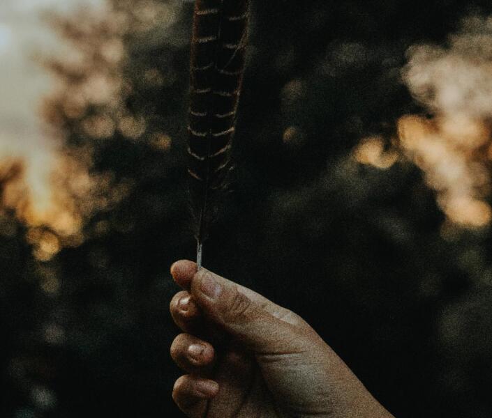Close up of hand holding feather