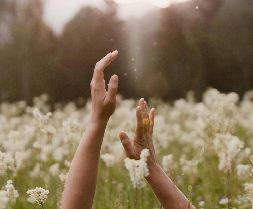 Hands reaching up in a field of white flowers