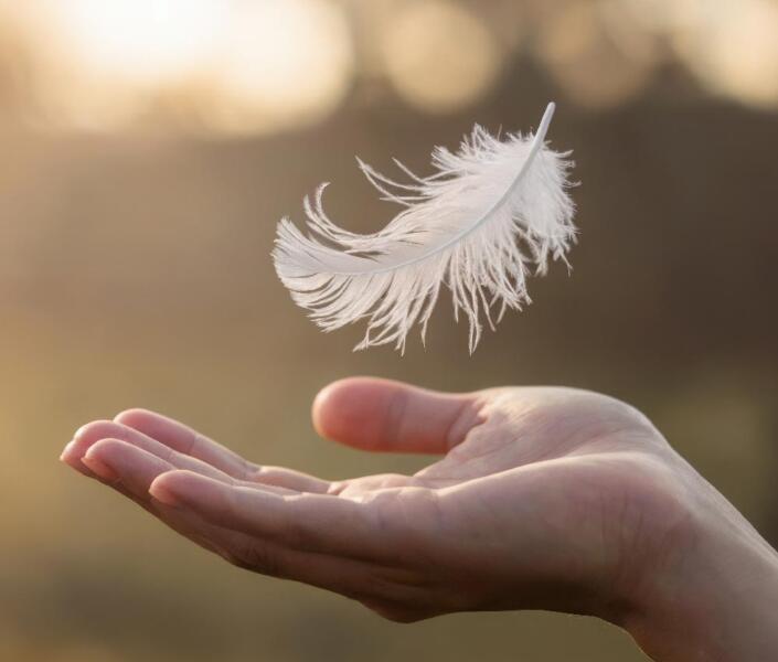 Hand with white feather